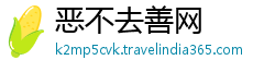 恶不去善网